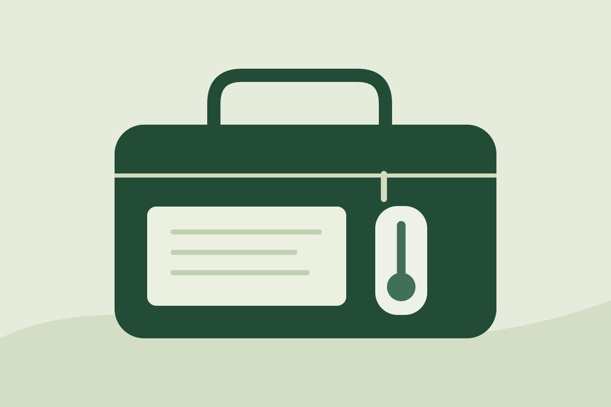Illustration of an insulated travel pouch, temperature indicator and travel documents