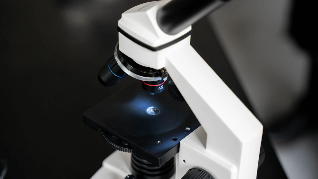 A close view of a laboratory microscope and its objective lenses