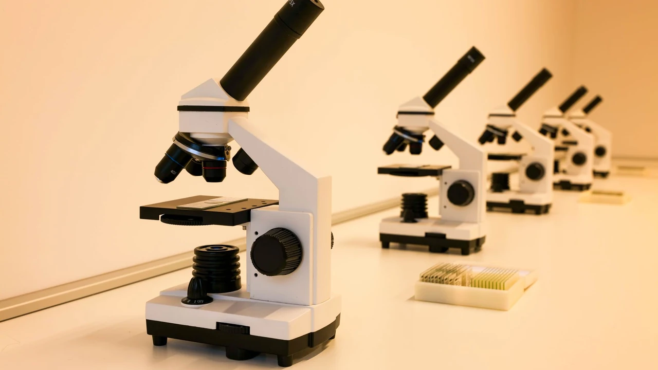 Microscopes arranged on a laboratory bench
