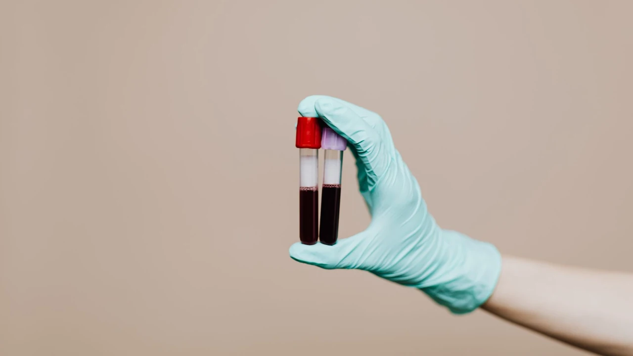 Gloved hand holding capped blood-sample tubes