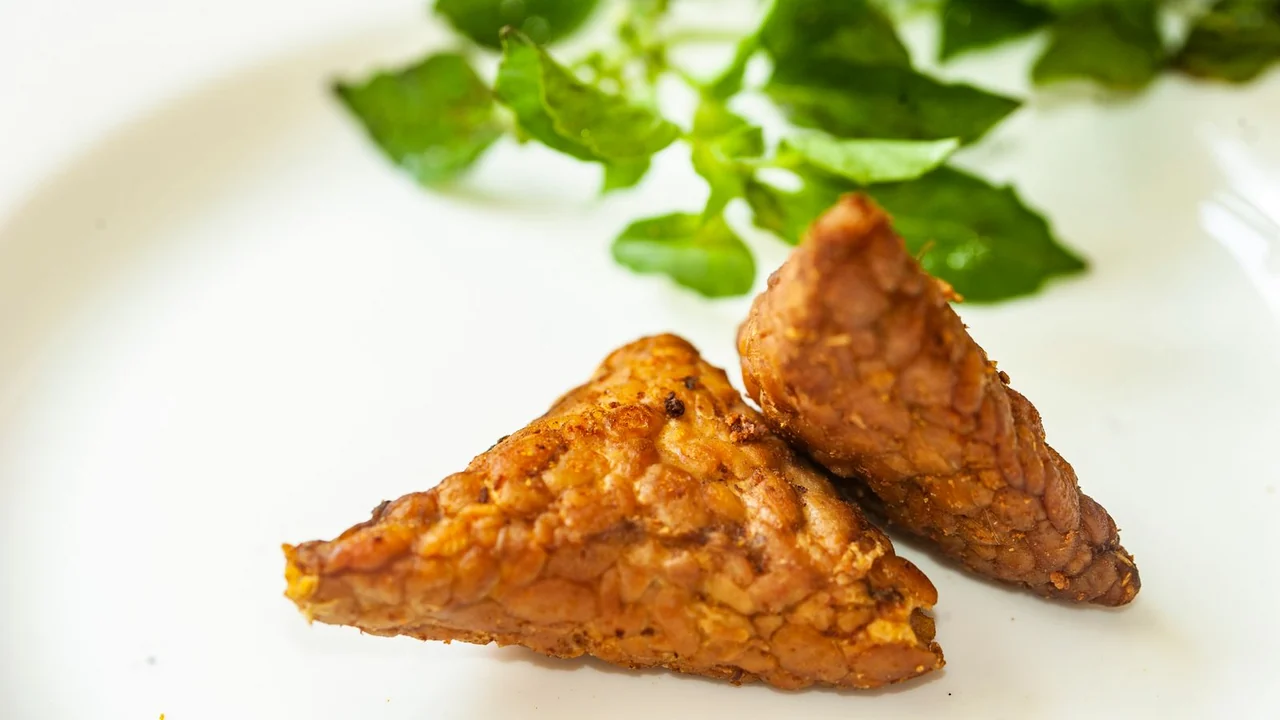 Pieces of tempeh with green herbs