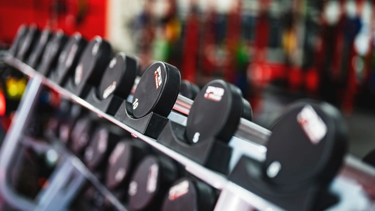 Dumbbells arranged on a gym rack