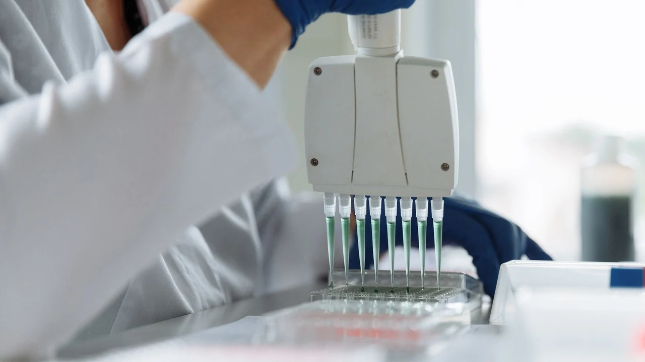 Gloved hand using a multichannel pipette above a laboratory plate