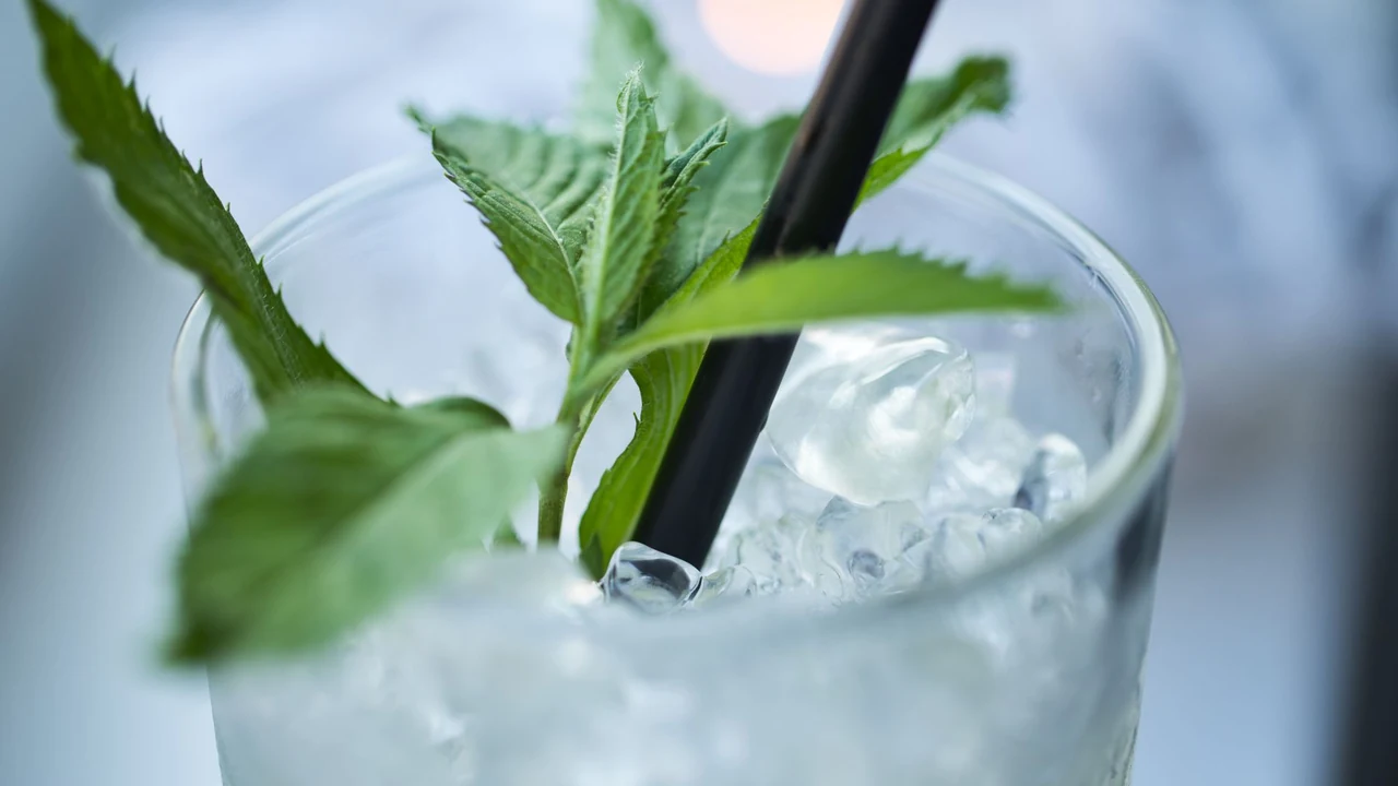 Iced drink with mint and a straw.